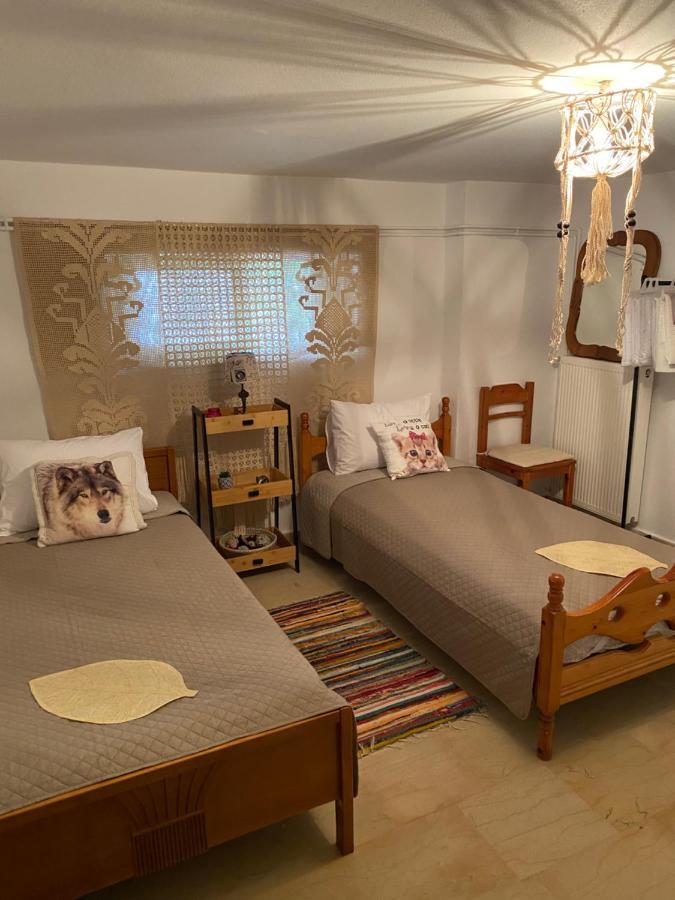 Studio Cleopatra คานาลี ภายนอก รูปภาพ
